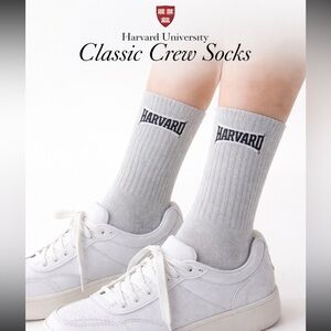 Harvard University Gray crew Socks